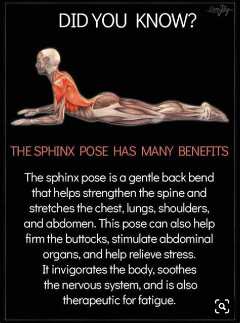 Smoth body practice & yoga facts. Yoga Trapeze Superwoman in 2020 | Yoga facts, Easy yoga ...