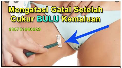 Lantas, rambut kemaluan ini di cukur atau dibiarkan begitu saja? Mengatasi Gatal Setelah Cukur Bulu Kemaluan - YouTube