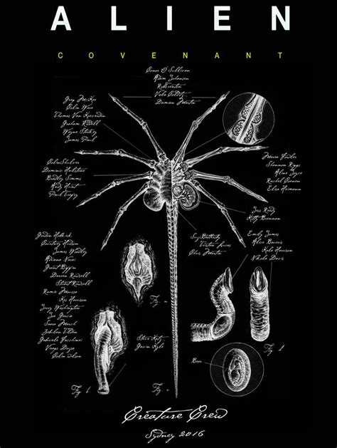 Ridley scott film about a crew of a colony ship who are threatened by killer xenomorph aliens. Alien Covenant: The Art of the Film Is On The Way! - AvPGalaxy