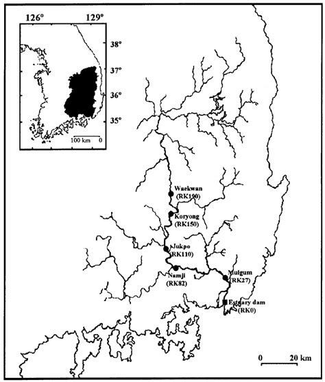 Fish assemblage structure comparison between freshwater and estuarine habitats in the lower nakdong river, south korea. Map of the Nakdong River basin and study sites ...