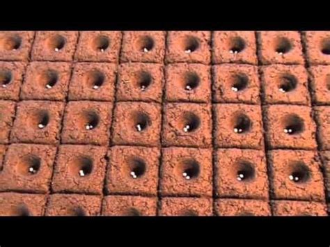 Diy soil block maker with scrap lumber подробнее. Homemade Soil Blocker Maker (free - DIY) - YouTube | Diy blocks, Soil, Seed saving
