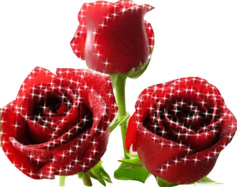 Per fare questo prima di tutto clicca sull'immagine e avvia l'animazione. AKI GIFS: Gifs animados de Rosas
