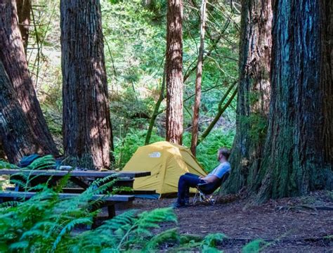 Woodside & gerstle cove campgrounds. Secluded camping under the redwoods and by a creek … now ...