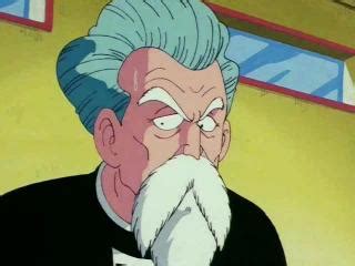 These balls, when combined, can grant the owner any one wish he desires. Dragon Ball - Episodio 86 - Os oito finalistas Online - Animezeira