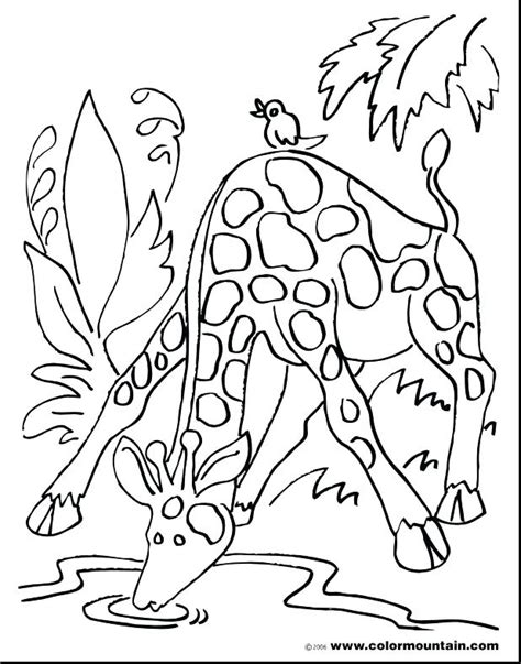 Search through 623,989 free printable colorings at getcolorings. Drinking Water Coloring Pages at GetColorings.com | Free ...