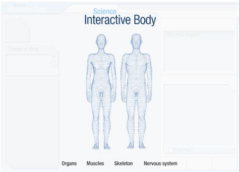 Use the model select icon above the anatomy slider on the left to load different models. Tech Coach: Human Anatomy