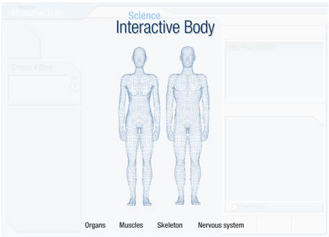 Also, check out get body smart. Tech Coach: Human Anatomy