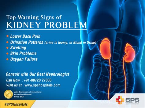 Most of primary body organs and tissues, which are highly sensitive consistently pulling on tendons and muscles on the left side of the back, usually on the lower back, leads to back pain. Pin on Best Hospitals for Kidney Transplant in India