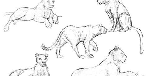 Animal locomotion and design concepts for animators. Pants Weather Press: Joe Weatherly Animal Drawing Workshop ...