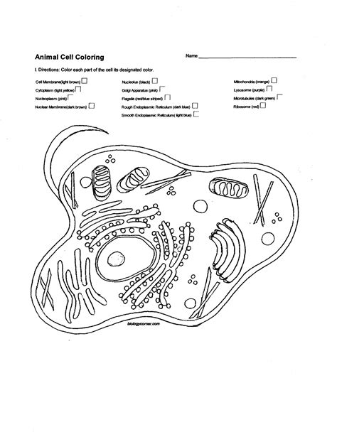 Choose a color for each of the parts below and fill in the squarewith the color of your choice. Plant and Animal Cell Coloring Worksheets Plant Cell ...
