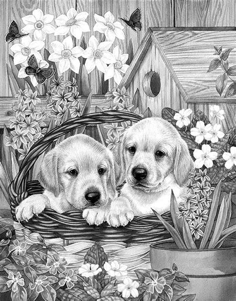 Black lab lab puppies black lab. Two Lab Pups | Horse coloring pages, Grayscale coloring ...