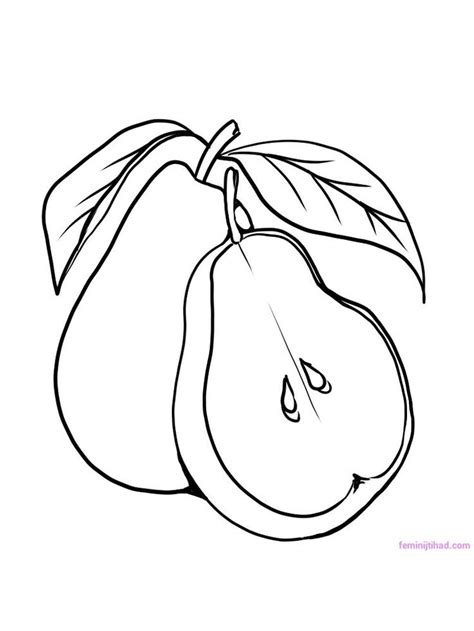 Print coloring page download pdf. Printable Pear Coloring Pages (Dengan gambar)