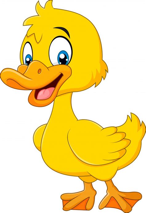 Four ducklings who were found by mordecai and rigby in the episode a bunch of baby ducks. Cartoon funny baby duck posing | Premium Vector