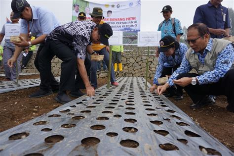 Setelah mengetahui syarat tanamnya, kini saatnya anda mulai untuk. Gelar Tanam Serempak, Temanggung Siap "GEDOR" Bawang Putih ...