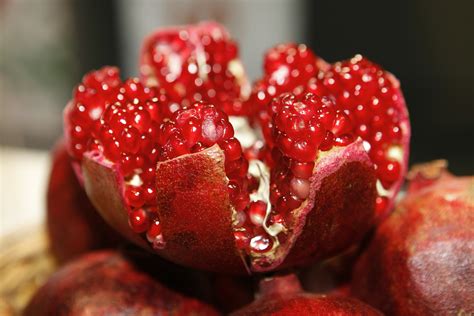 pomegranate - aestheticbeats