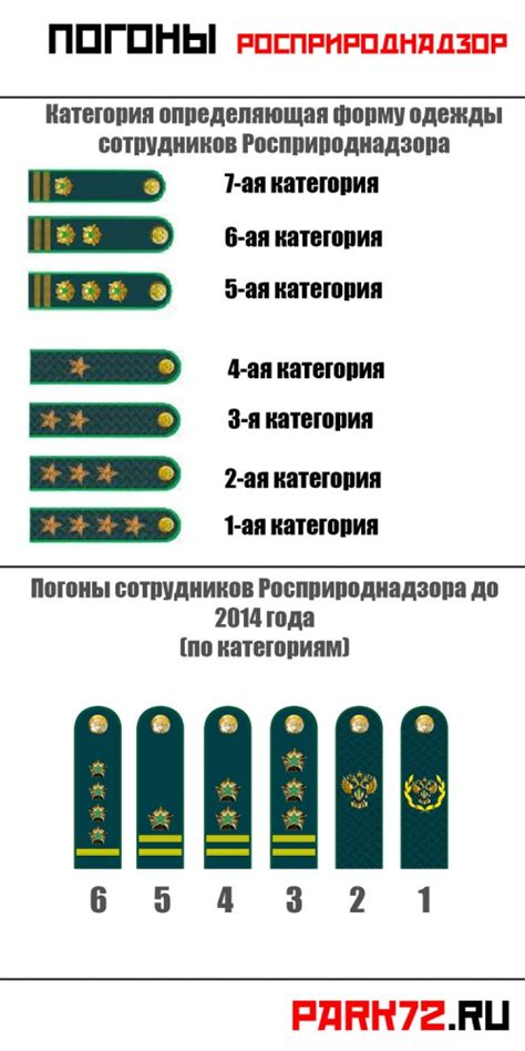 Москва об утверждении перечня должностей федеральной государственной гражданской службы в территориальных органах роспотребнадзора, при назначении на. СПЕЦПРОЕКТ PARK72.RU: учимся читать погоны тюменских ...