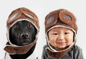 Además ahora están muy de. Beneficios de tener un perro en casa