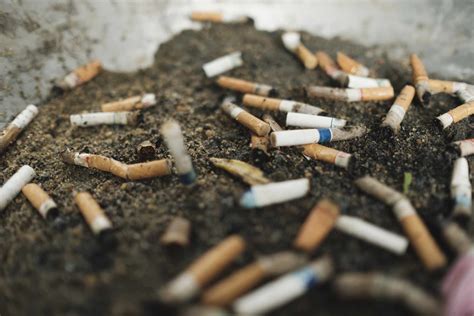 Cigarette Butts Make for Better, Cleaner Bricks
