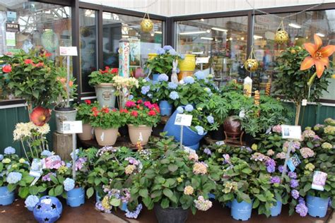 Maybe you would like to learn more about one of these? Fort Collins Nursery - We R Foco