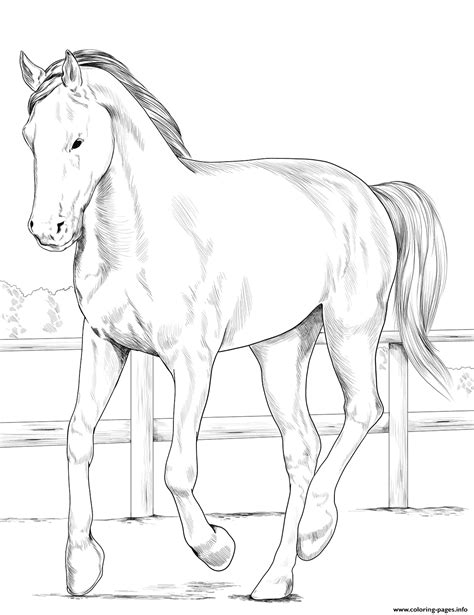 5 fantasy horse coloring pages. Horse Westphalian Coloring Pages Printable