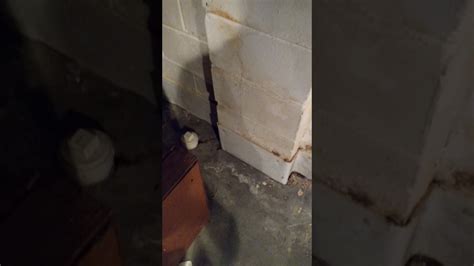 Interior channel does all forms of basement waterproofing as well as full service sewer & drain cleaning. Basement waterproofing - YouTube