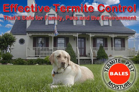 Headquartered in chesapeake, virginia, priority pest services serves the cities of chesapeake, virginia beach, norfolk, suffolk, newport news call priority pest services for a free home termite, pest & moisture inspection. Welcome to Bales Pest Control | Bales in Bugs out ...