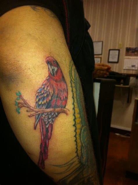 Therefore, these tattoos arrive costly, yet are worth each and every penny you. Indiana Parrot | Tattoos, Watercolor tattoo, Parrot
