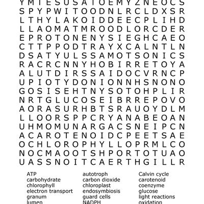 This is the answer key and pdf file to print for searching. Element Word Search Puzzles and Answer Keys