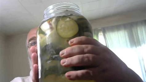 So we all know that fermented foods are good for us. FERMENTED PICKLE UPDATE - YouTube