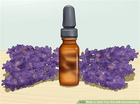 In this video i go through why they can be toxic and also which oils are safe and which are not. How to Calm Your Cat with Aromatherapy (with Pictures ...