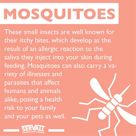 The methods used can help keep away mosquitoes for a number of weeks. Servall Pest Control: Mosquitoes