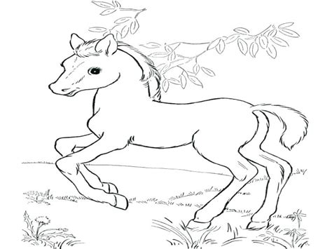 Beautiful images of horses and ponies to print and color. Mom And Baby Horse Coloring Pages at GetColorings.com ...