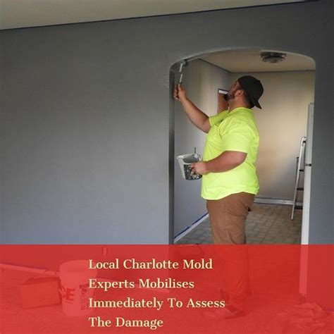 Maybe you would like to learn more about one of these? Pin on Local Mold Testing & Mold Removal in Charlotte, NC
