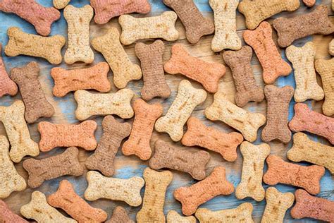 Dog treats recipe inspired by st. Low Calorie Treats for Dogs: Why Every Bite Matters
