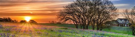 Otherare solar panels worth it? Are solar panels worth it in Texas - Freedom Forever