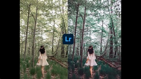 These preset designed especially for portraits, travel, lifestyle, and anyone who loves taking and posting great photos, give your photos dark and moody look. Lightroom Free Presets 2020// Moody Dark Blue Color Tone ...