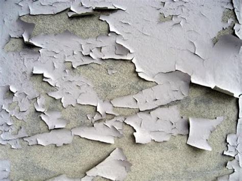 La peinture murale est une peinture monumentale dont le support est un mur intérieur ou extérieur, une voûte ou un plafond, par opposition à la peinture de chevalet qui est transportable. Rénover un plafond écaillée ★ A à Z - YouTube