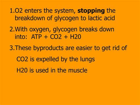 Carbohydrates also help to regulate the digestion and utilization of proteins and fats. PPT - Energy Systems for Exercise PowerPoint Presentation ...