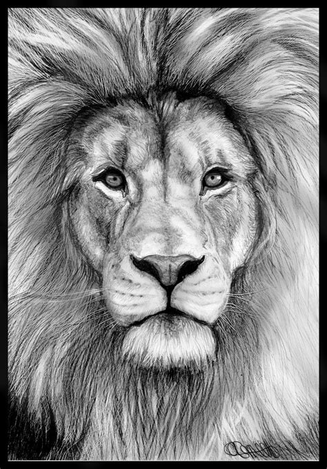 This time he is depicted from a do everything carefully and do not put pressure on the pencil. Pencil Drawing Lion Face - pencildrawing2019