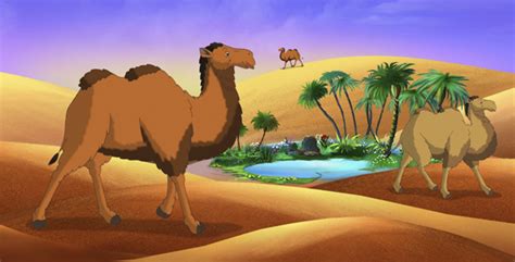 Submitted 1 year ago * by necessary_constant. Bactrian Camel by Multipedia | VideoHive