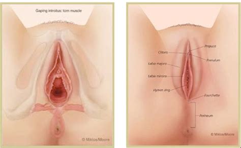 A uti is an infection in any part of your urinary tract, the mayo clinic explains. 8 Simple Tips For A Healthy Vagina ~ Health and News
