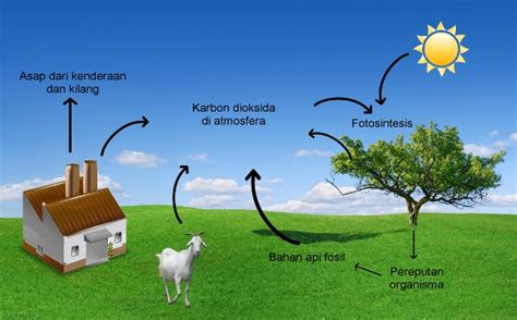 =kumulasi minyak dan gas bumi yang terdapat di daerah &ahakam umumnya ditemukan pada reser9oar yang berumur &iosen tengah sampai &iosen =khir% reser9oar karbonat tidak terlalu banyak yang mengandung. My Share Learning Content: 3.1 Keseimbangan Alam