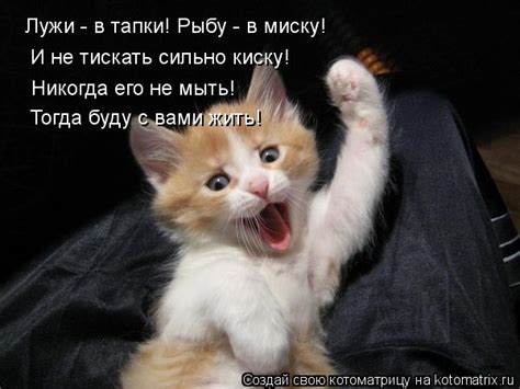 Check spelling or type a new query. Котоматрица: Лужи - в тапки! Рыбу - в миску! И не тискать ...