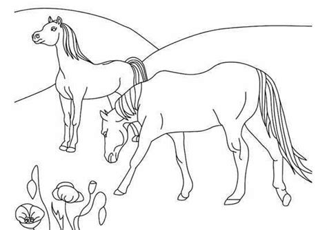 Kleurplaat van een paard met haar veulen. Kleurplaat Dieren Kleurplaat Veulen » Animaatjes.nl