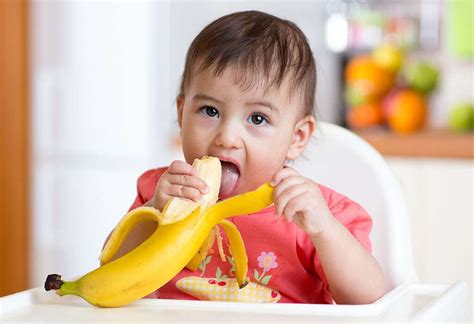 Namun setelah memasuki usia 6 bulan, si kecil perlu untuk diberikan makanan padat pendamping asi (mpasi), bunda. Mitos dan Fakta Seputar Pemberian Pisang untuk Bayi Usia 6 ...