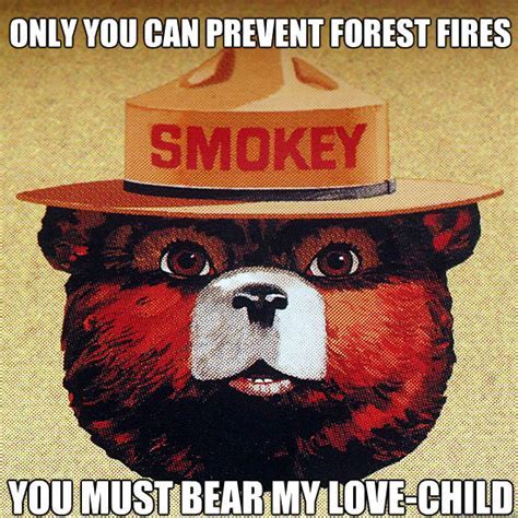Memes should be relatable, with universally uplifting themes. Only you can prevent forest fires Memes