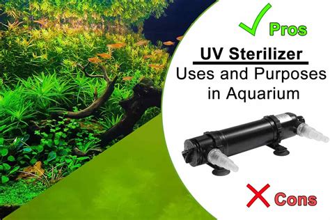 Rechargeable uv sterilizer uvc ozone auto sterilization for toilet air disinfect. UV Sterilizer Uses and Purposes in Aquarium - Shrimp and ...