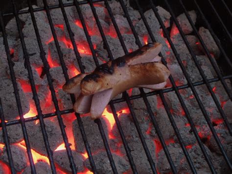 Kolbasa sherin yar/dud servelat o'zga.730g±20g. Kastraten auf dem Grill - infosperber