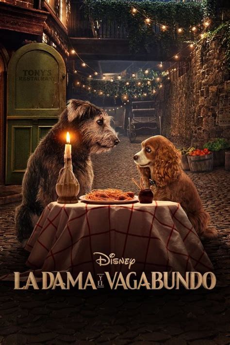 While lady and the tramp may not rank as one of disney's greatest animated works, it still makes for a charming experience thanks to its memorable and entertaining characters, gorgeous animation, and a beautiful score. La dama y el vagabundo (2019) - Película eCartelera