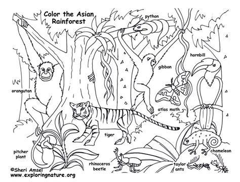 Please, feel free to share these coloring 400x513 great curassow coloring page rainforest alliance. เรียนภาษาอังกฤษ ความรู้ภาษาอังกฤษ ทำอย่างไรให้เก่งอังกฤษ ...